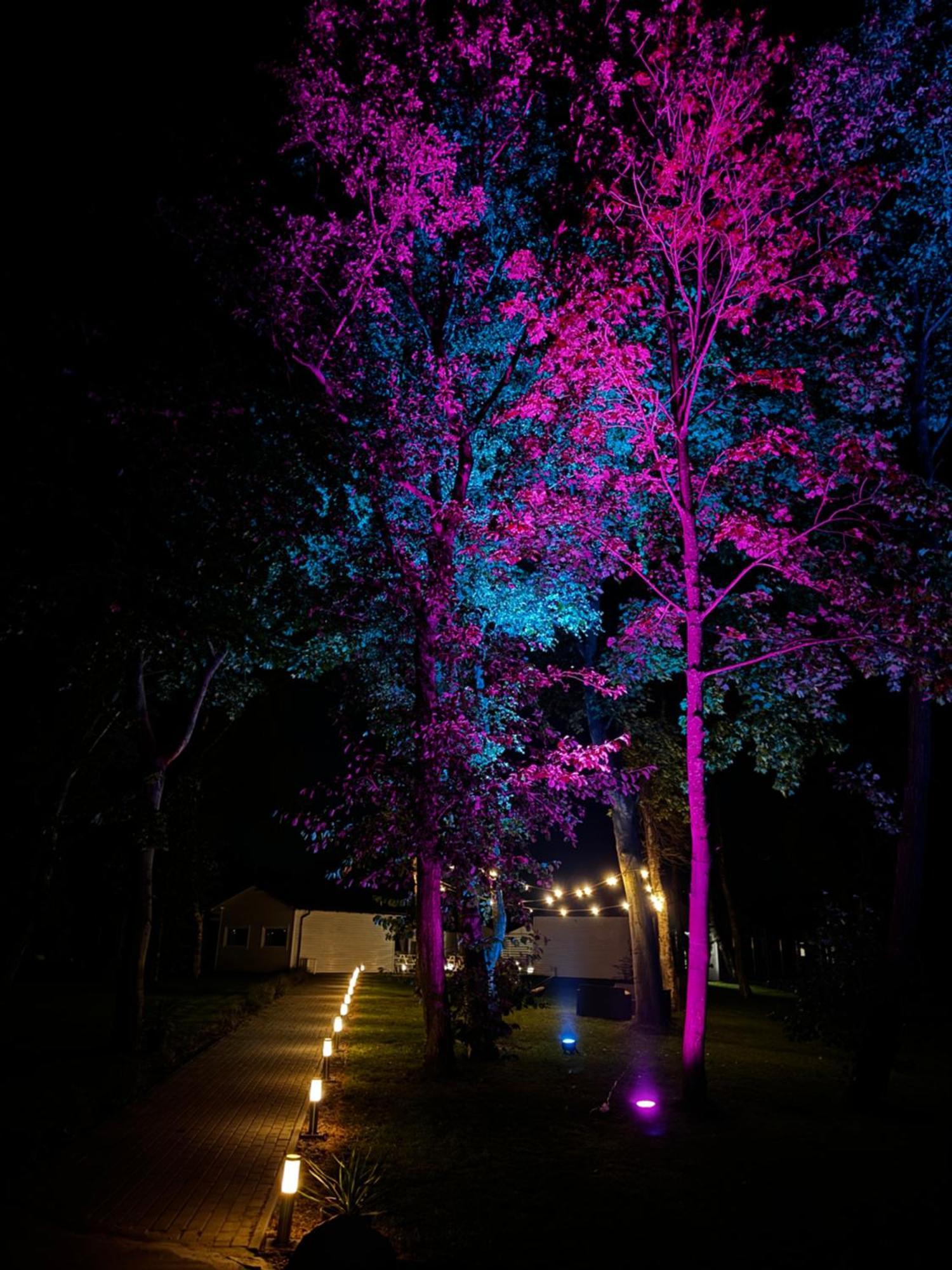 Lumi Resort Domki Letniskowe Z Podgrzewanym Basenem Rewal Exterior foto